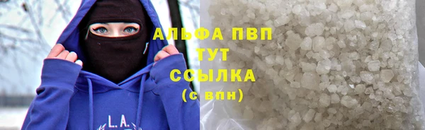 прущие грибы Липки