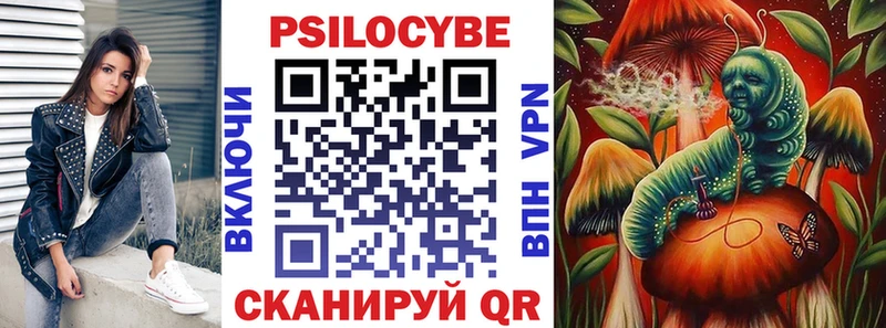 дарк нет какой сайт  продажа наркотиков  Шумерля  Псилоцибиновые грибы GOLDEN TEACHER 