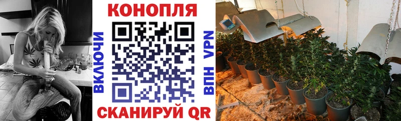 Каннабис MAZAR  где найти наркотики  Шумерля 
